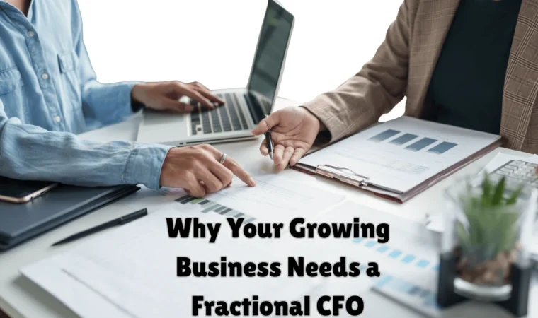 CFO services for small businesses